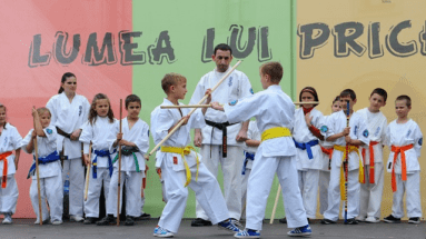 karate, martial arts, kids