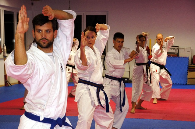 karate, martial arts, sports, Martial Arts Help with Anxiety